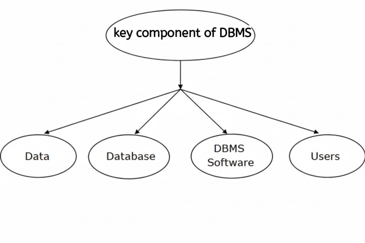 Key Components of DBMS (DBMS के मुख्य घटक)