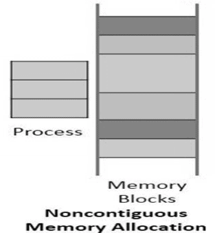 Contiguous & Non-Contiguous Memory Allocation